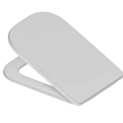 Anderson Rimless Back to Wall Toilet & Soft Close Seat