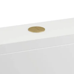 Britton Bathrooms Cistern Flush Button - Brushed Brass