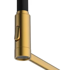 Clearwater Alasia Semi-Professional Kitchen Pull Out Spray Tap