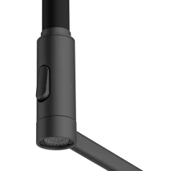 Clearwater Alasia Semi-Professional Kitchen Pull Out Spray Tap