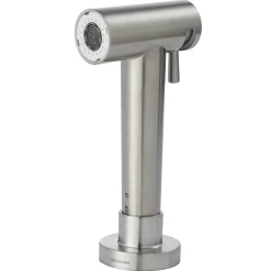 Clearwater Modern Pull Out Rinse