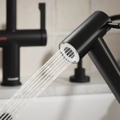 Clearwater Modern Pull Out Rinse