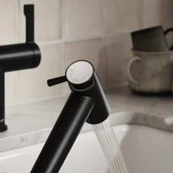 Clearwater Modern Pull Out Rinse