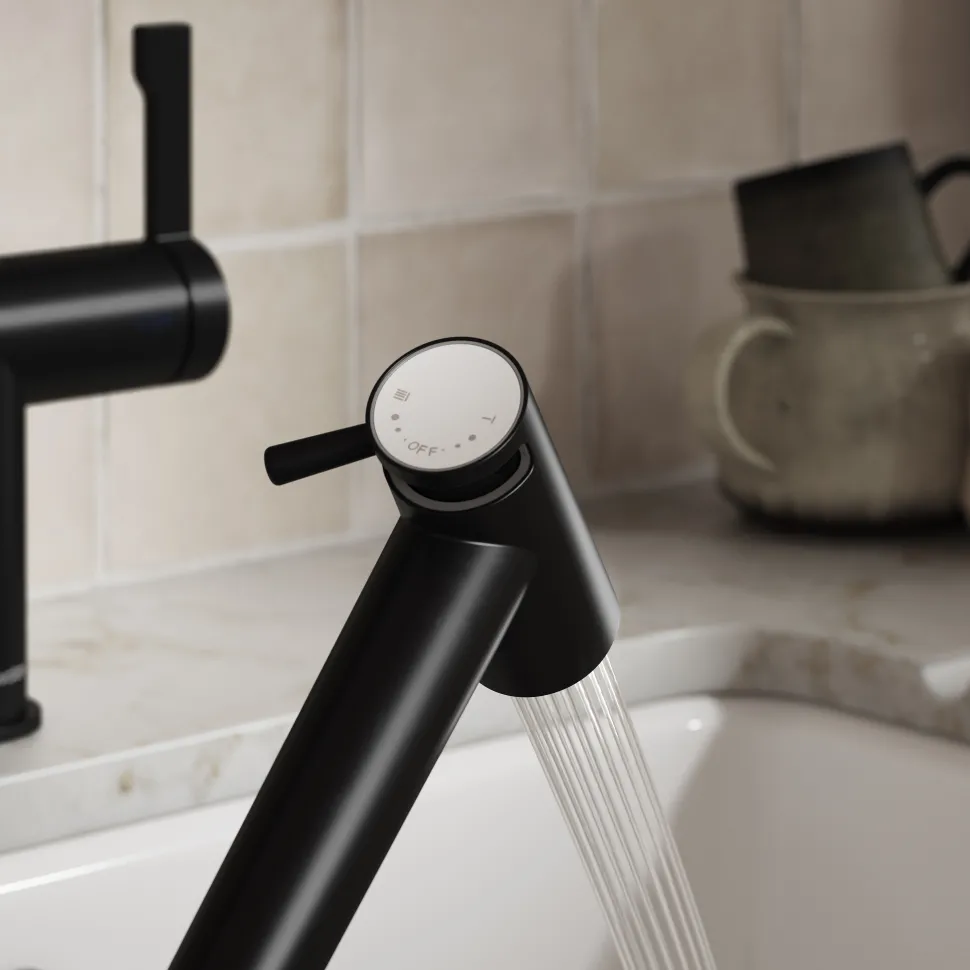 Clearwater Modern Pull Out Rinse