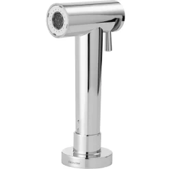 Clearwater Modern Pull Out Rinse