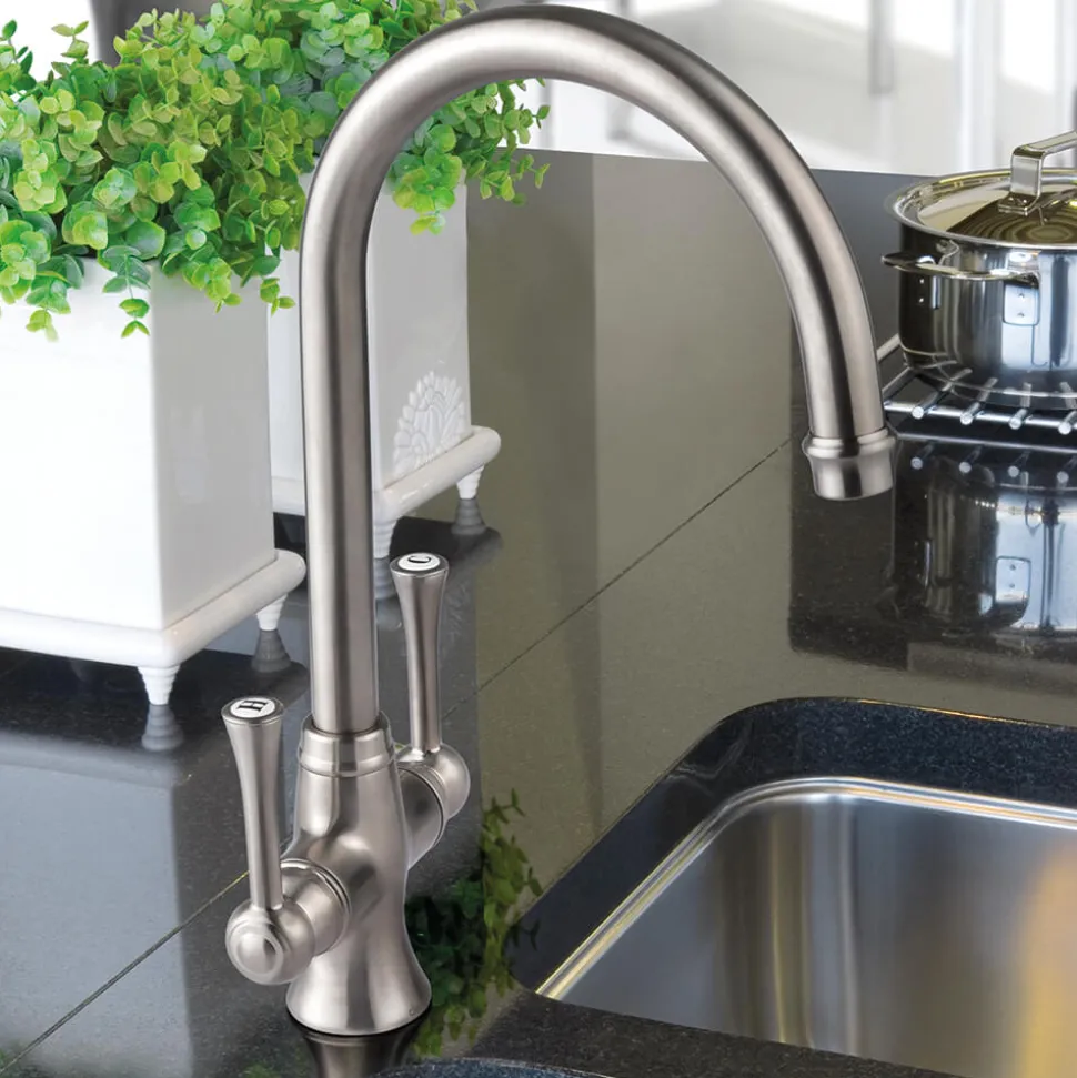 Clearwater Regent Twin Lever Mono Sink Mixer with Swivel Spout