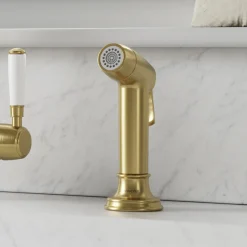 Clearwater Traditional Pull Out Rinse