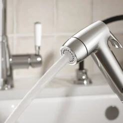 Clearwater Traditional Pull Out Rinse