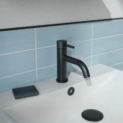 Core Mono Basin Mixer Tap