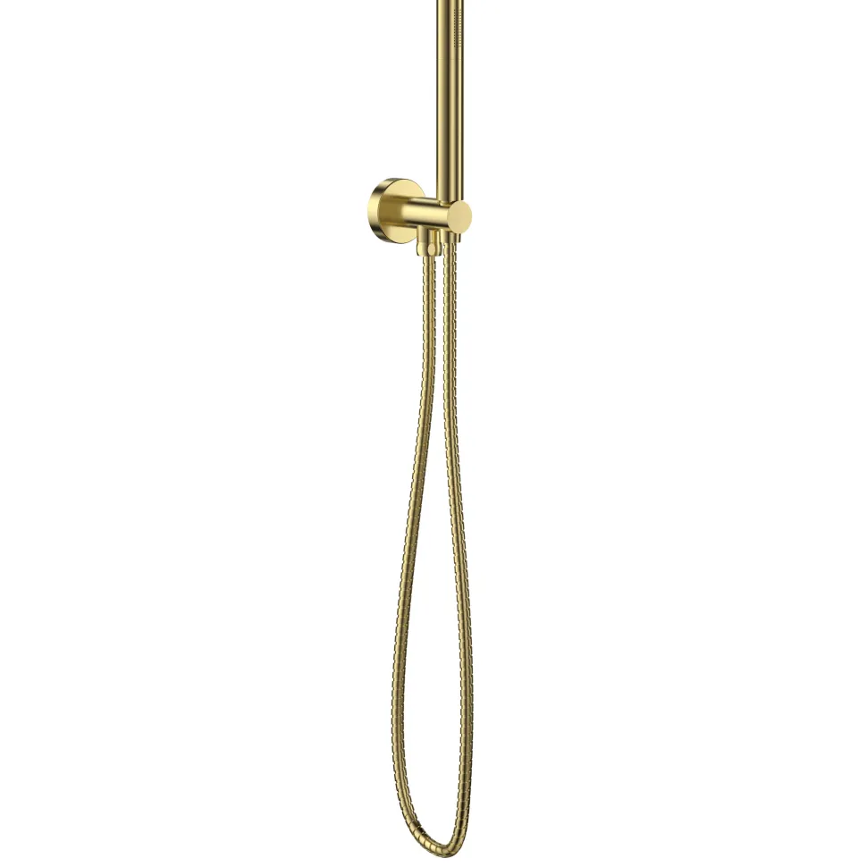 Core Shower Handset, Hose & Wall Outlet