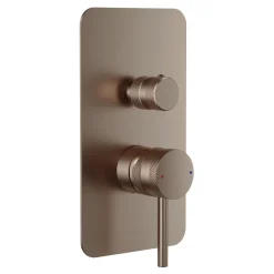 Core Shower Package with 2 Outlet Manual Valve, Fixed Wall Mounted Shower Head & Microphone Handset Slide Rail Kit