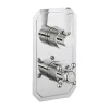 Crosswater Belgravia Lever Slimline 2 Outlet Concealed Thermostatic Shower Valve