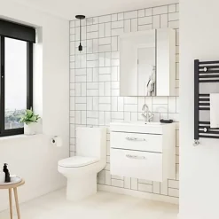 Emily 500mm Wall Mounted 2 Drawer Vanity Unit and Countertop