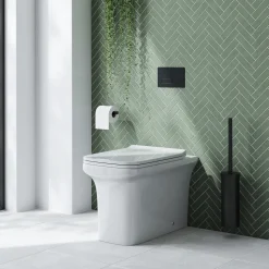 Emily Rimless Back To Wall Toilet & Soft Close Seat