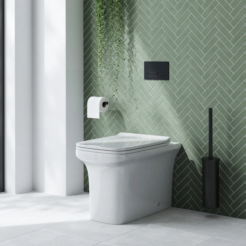 Emily Rimless Back To Wall Toilet & Soft Close Seat