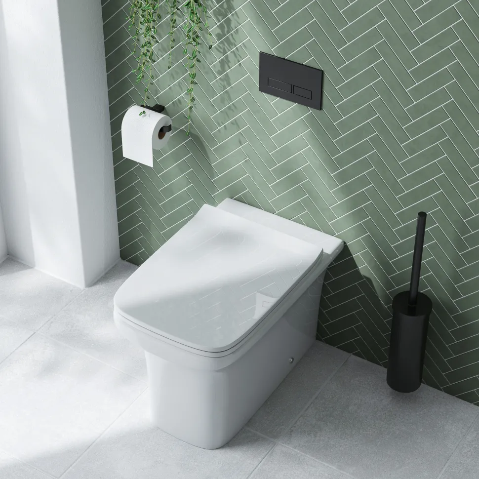 Emily Rimless Back To Wall Toilet & Soft Close Seat