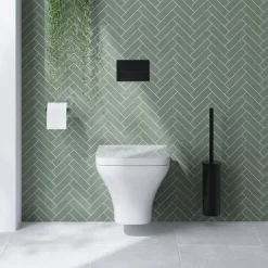 Emily Rimless Wall Hung Toilet & Soft Close Seat