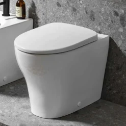 Geberit Selnova Rimless Back to Wall Pan & Soft Close Seat