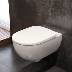 Geberit Selnova Rimless Wall Hung Pan & Soft Close Seat