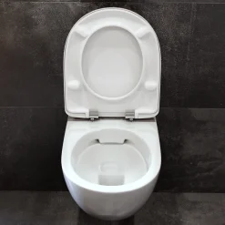 Geberit Selnova Rimless Wall Hung Pan & Soft Close Seat