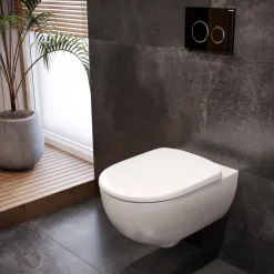 Geberit Selnova Rimless Wall Hung Pan & Soft Close Seat