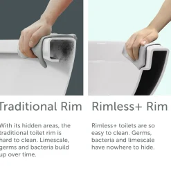 Harbour Alchemy Rimless Back to Wall Toilet & Soft Close Seat