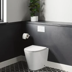 Harbour Clarity Back to Wall Rimless Toilet & Soft Close Seat