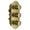 Harbour Clarity Brushed Brass 2 Outlet Thermostatic Concealed Shower Valve (Three Handle)