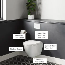 Harbour Clarity Rimless Wall Hung Toilet & Soft Close Seat