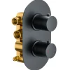 Harbour Clarity Two Outlet Concealed Thermostatic Shower Valve - Matt Black