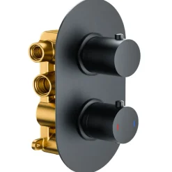 Harbour Clarity Two Outlet Concealed Thermostatic Shower Valve - Matt Black