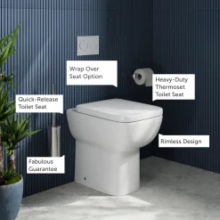 Harbour Icon Rimless Back to Wall Comfort Height Toilet & Soft Close Seat