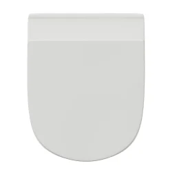 Harbour Identity Rimless Back to Wall Toilet & Soft Close Seat