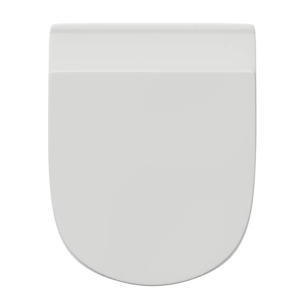 Harbour Identity Rimless Back to Wall Toilet & Soft Close Seat