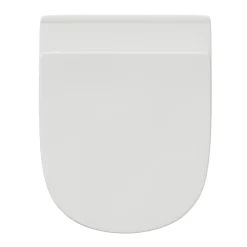 Harbour Identity Rimless Back to Wall Toilet & Soft Close Seat