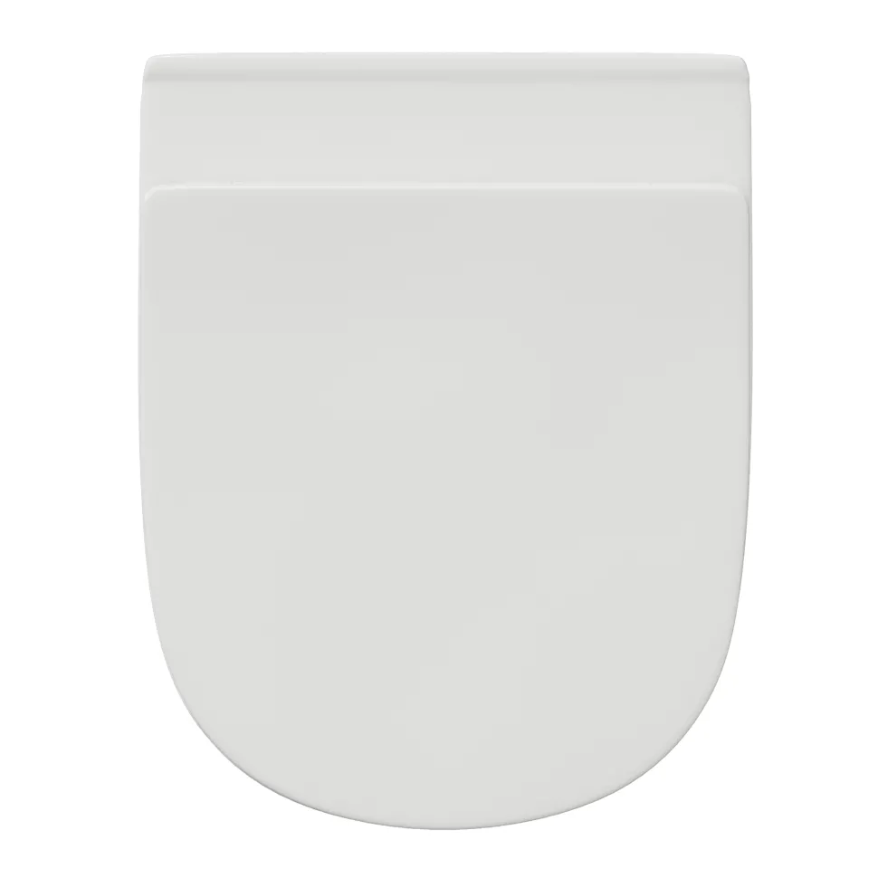 Harbour Identity Rimless Back to Wall Toilet & Soft Close Seat