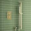 Harbour Status Brushed Brass Concealed Shower Valve & Slide Rail Shower Kit