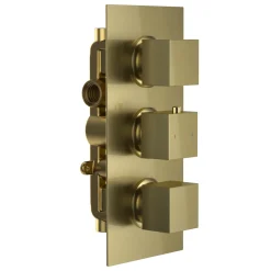 Harbour Status Brushed Brass 2 Outlet Thermostatic Concealed Shower Valve (Three Handle)