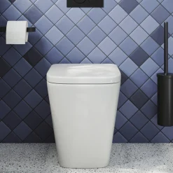 Harbour Unity Rimless Back to Wall Toilet & Soft Close Seat