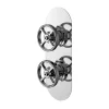 Hudson Reed Revolution Industrial 1 Outlet Concealed Thermostatic Shower Valve