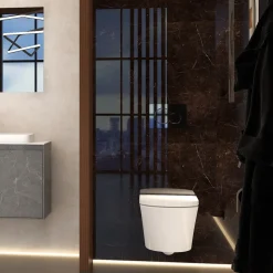Imex Arco Rimless Wall Hung Toilet and Soft Close Seat