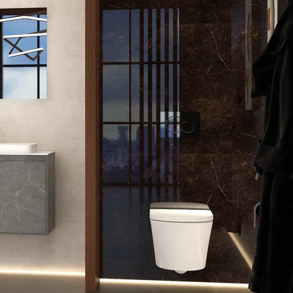 Imex Arco Rimless Wall Hung Toilet and Soft Close Seat