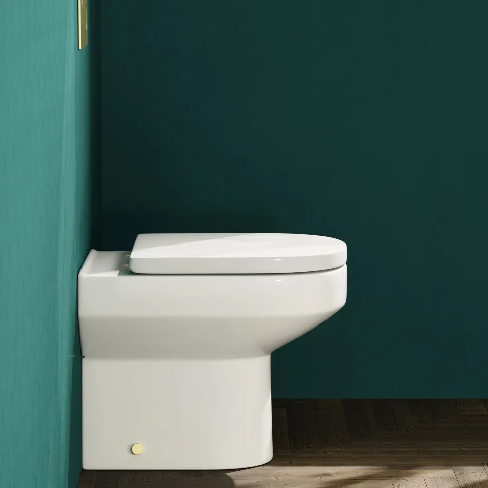 Lorraine Rimless Back To Wall Toilet & Soft Close Seat