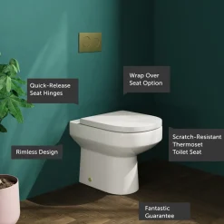 Lorraine Rimless Back To Wall Toilet & Soft Close Seat