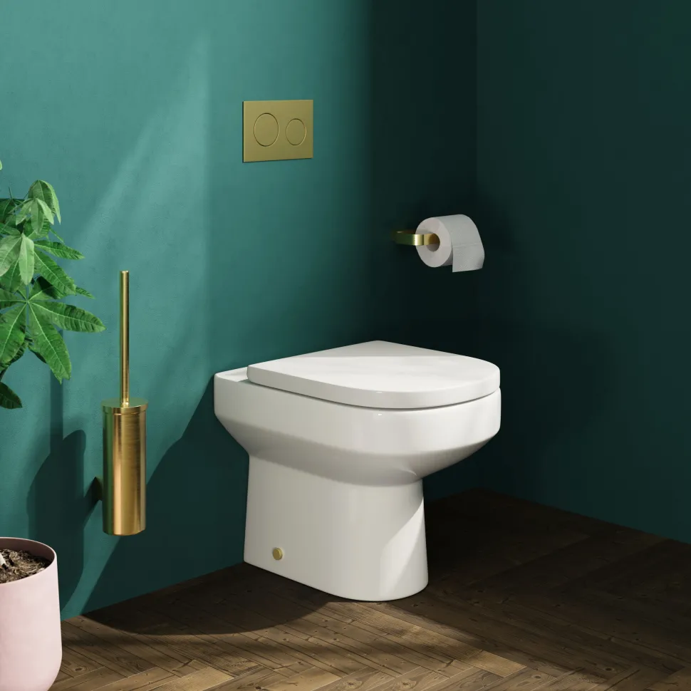 Lorraine Rimless Back To Wall Toilet & Soft Close Seat