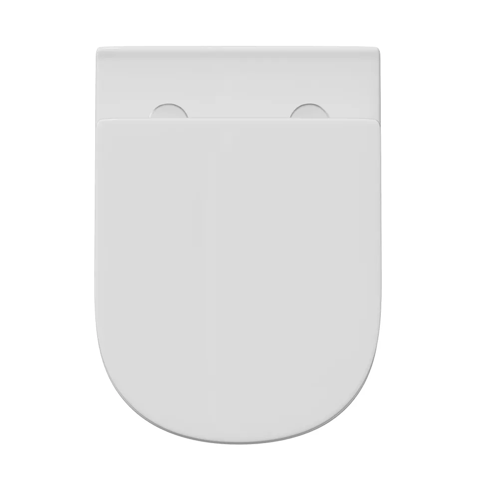 Lorraine Rimless Back To Wall Toilet & Soft Close Seat