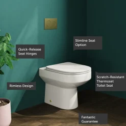 Lorraine Rimless Back To Wall Toilet & Soft Close Seat