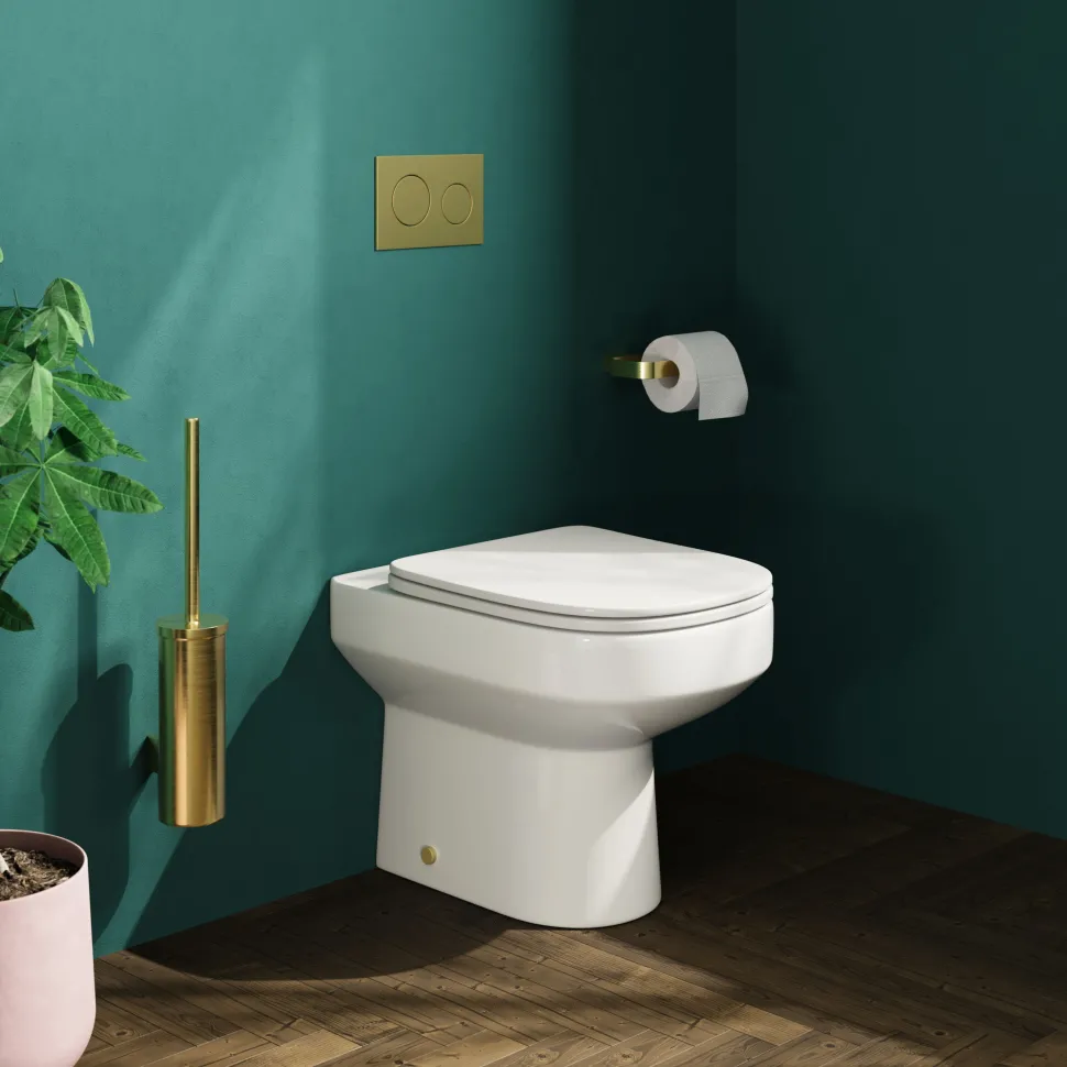 Lorraine Rimless Back To Wall Toilet & Soft Close Seat