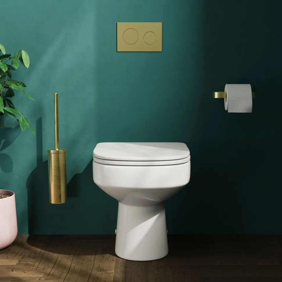 Lorraine Rimless Back To Wall Toilet & Soft Close Seat