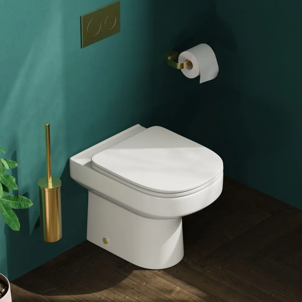 Lorraine Rimless Back To Wall Toilet & Soft Close Seat